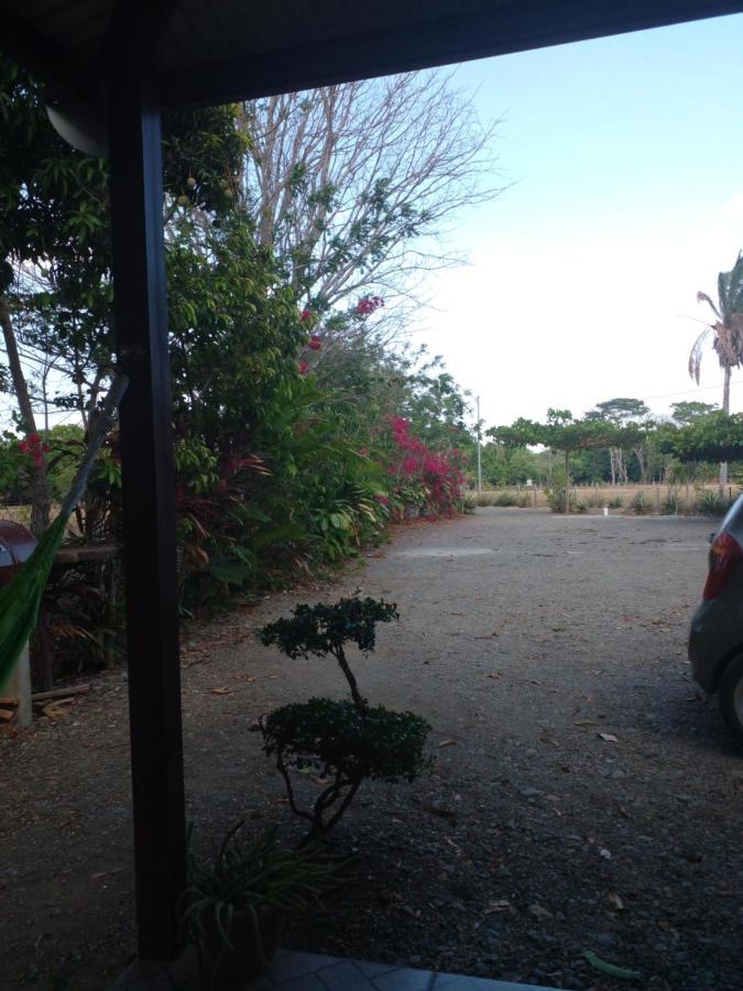 Cabanas Martina Surf Playa Guanico Pedregal Luaran gambar