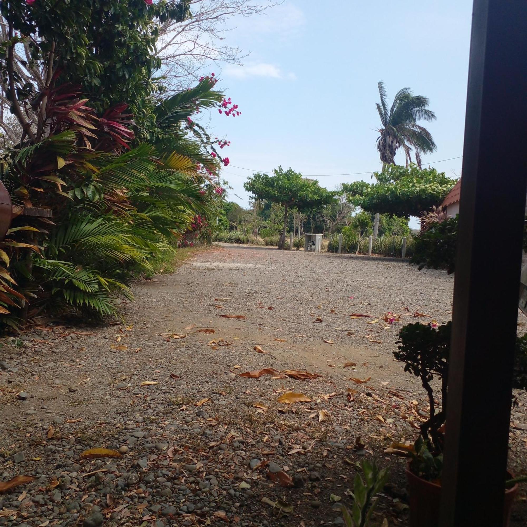 Cabanas Martina Surf Playa Guanico Pedregal Luaran gambar